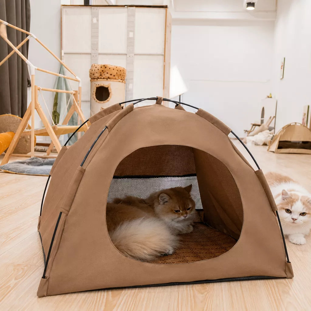 Portable Enclosed Tent Bed for Cats and Small Dogs