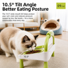 Raised Ceramic Double Pet Bowl Set