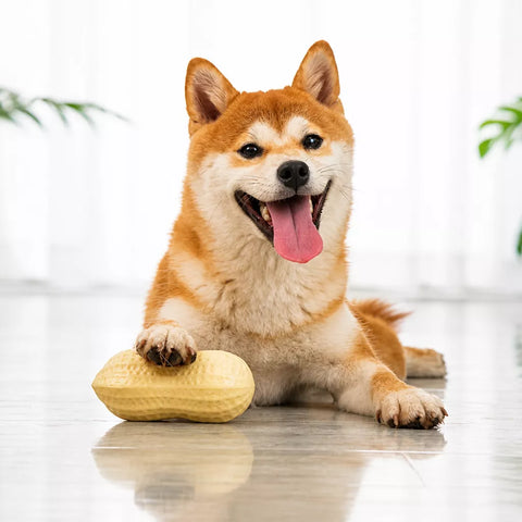 Peanut-Shaped Squeaky Dog Toy