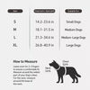 Lightweight Nylon Dog Harness and Leash Set for Everyday Walks