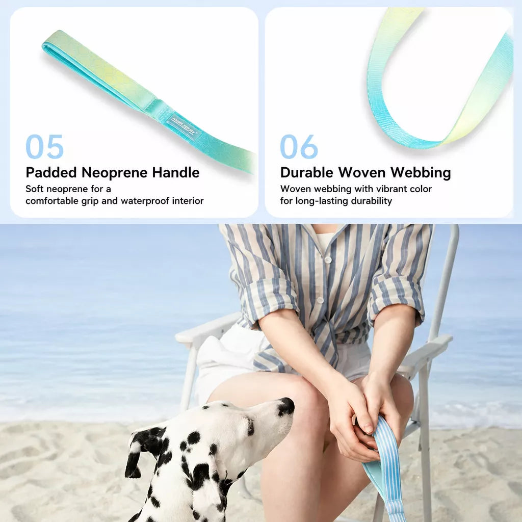 Polyester H-Style Dog Harness for Everyday Walks