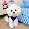 Denim-Style Nylon Pet Harness with Optional Leash for Small Pets