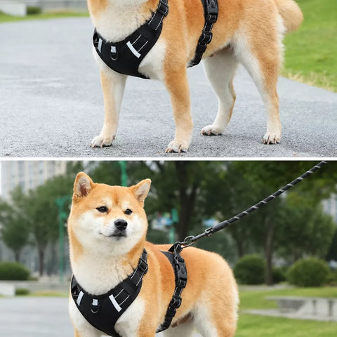 Nylon Dog Harness with Optional Leash