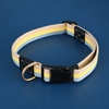 Adjustable Canvas Pet Collar
