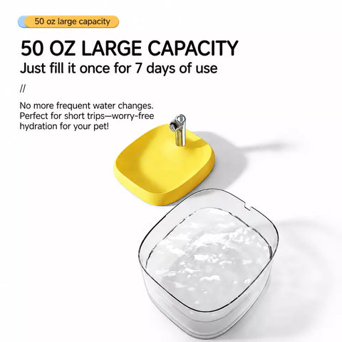 Automatic Pet Water Fountain with Quiet Circulating Flow