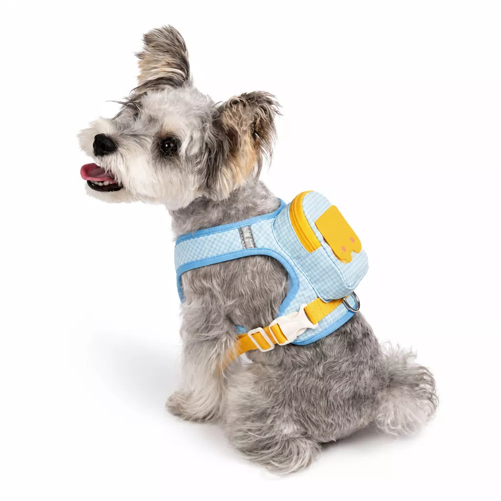 Vest-Style Pet Harness and Leash Set for Dogs & Cats