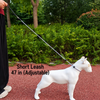 Nylon Rope Training Leash for Small and Medium-Sized Dogs