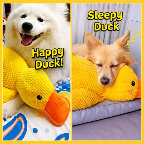 Plush Squeaky Dog Toys in Duck, Rope & Multi-Piece Styles