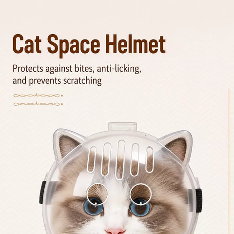 Clear Plastic Recovery Cone for Cats