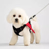 Winged Nylon Dog Harnesses & Leashes
