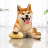 Peanut-Shaped Squeaky Dog Toy for Small and Large Breeds