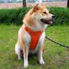 Adjustable Nylon Vest-Style Dog Harness with Leash