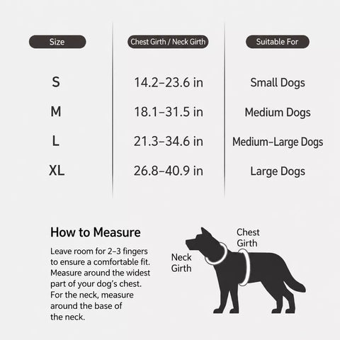 Lightweight Nylon Dog Harness and Leash Set