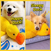 Plush Squeaky Dog Toys – Duck, Rope & Multi-Piece Designs