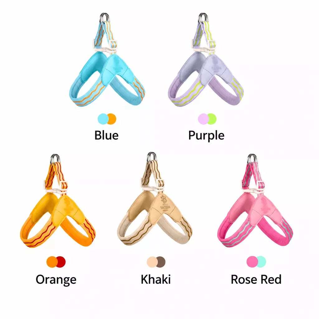 Y-Shaped Nylon Dog Harness and Leash for Small to Medium Dogs