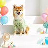 Lightweight Four-Leg Dog Shirt for Warm-Weather Wear