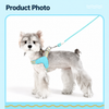 Y-Shaped Nylon Dog Harness and Leash
