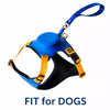 All-in-One Nylon Dog Harness with Retractable Leash