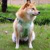 Adjustable Nylon Vest-Style Dog Harness with Leash