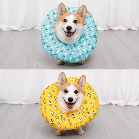 Soft Recovery Collar for Dogs