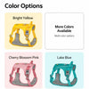 Lightweight Nylon Dog Harness and Leash Set for Everyday Walks