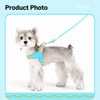 Y-Shaped Nylon Dog Harness and Leash