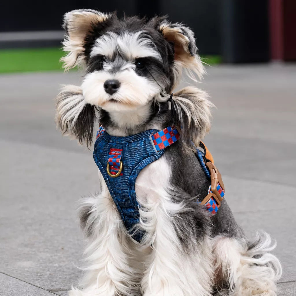 Pet Vest Harness for Small to Medium Dogs