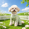Lightweight Four-Leg Dog Shirt for Warm-Weather Wear