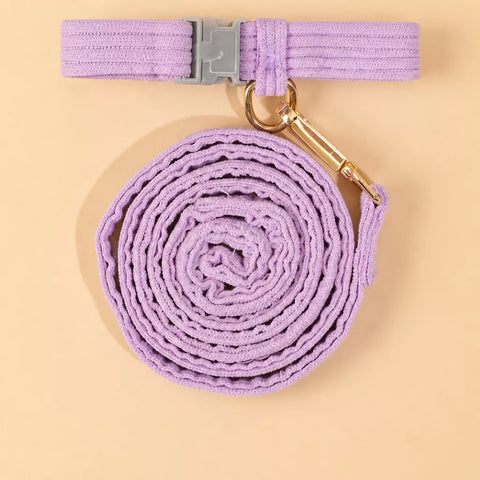 Cat Vest Harness and Leash for Outdoor Walks