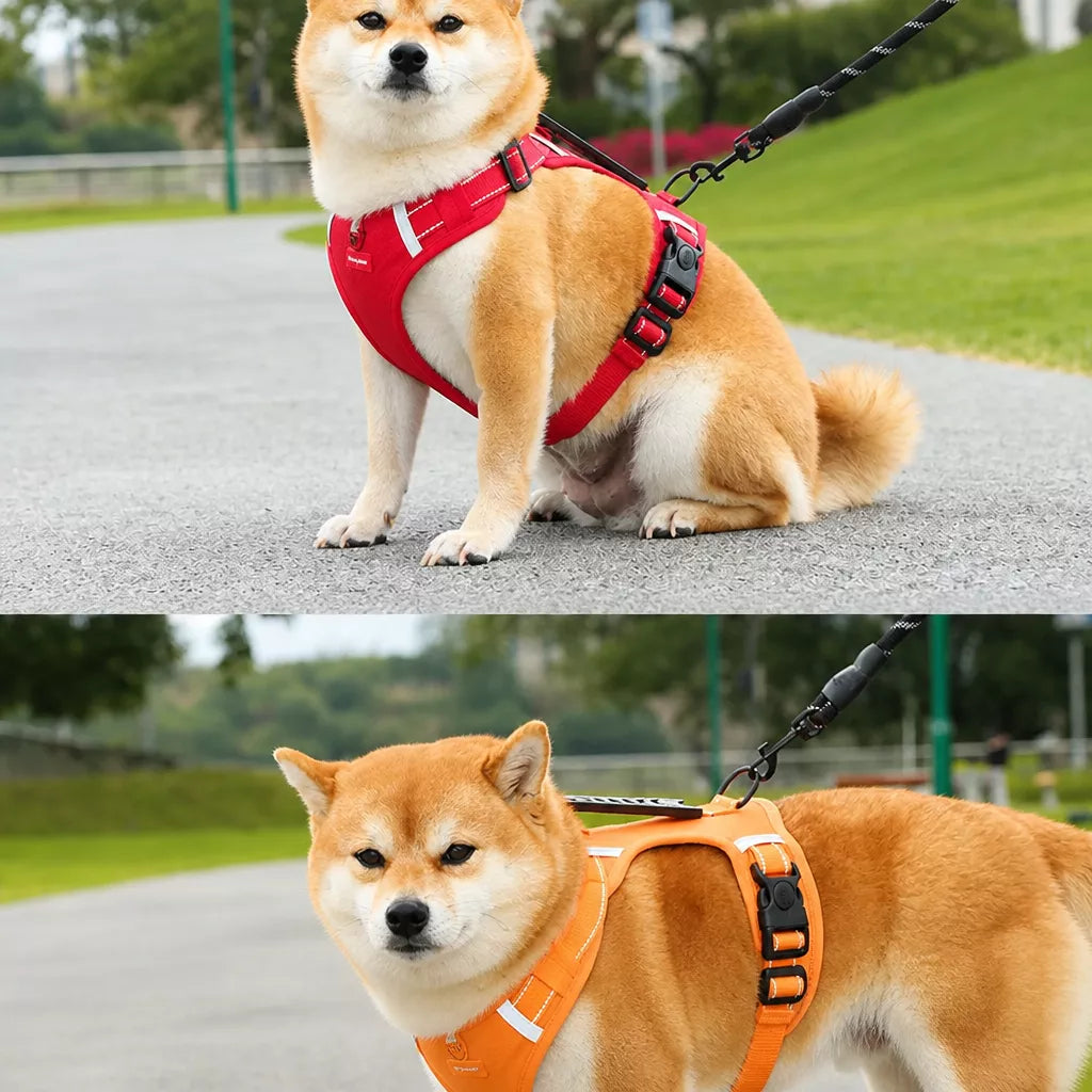 Nylon Dog Harness with Optional Leash
