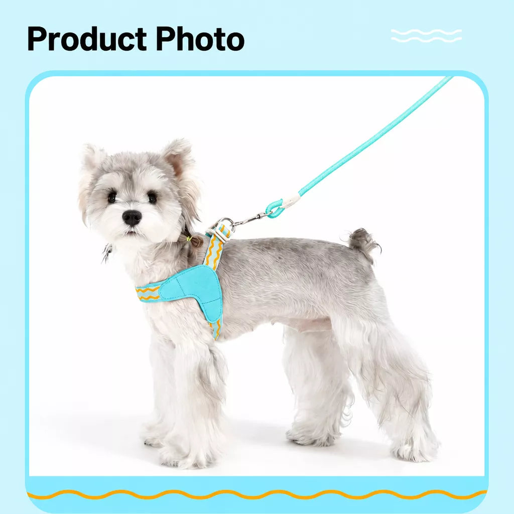 Y-Shaped Nylon Dog Harness and Leash for Small to Medium Dogs
