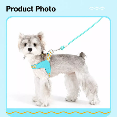 Y-Shaped Nylon Dog Harness and Leash for Small to Medium Dogs
