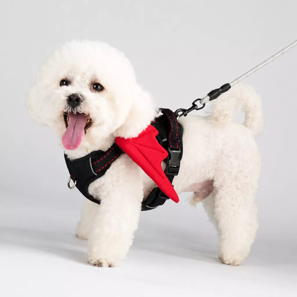 Winged Nylon Dog Harness with Leash Options
