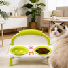 Raised Ceramic Double Pet Bowl Set