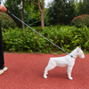 Nylon Rope Training Leash for Small and Medium-Sized Dogs