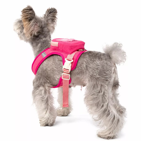 Vest-Style Pet Harness and Leash Set for Dogs & Cats