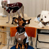 Faux Leather Collar for Small Dogs and Cats