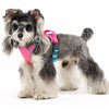 Adjustable Vest-Style Dog Harness