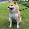 Adjustable Nylon Vest-Style Dog Harness with Leash