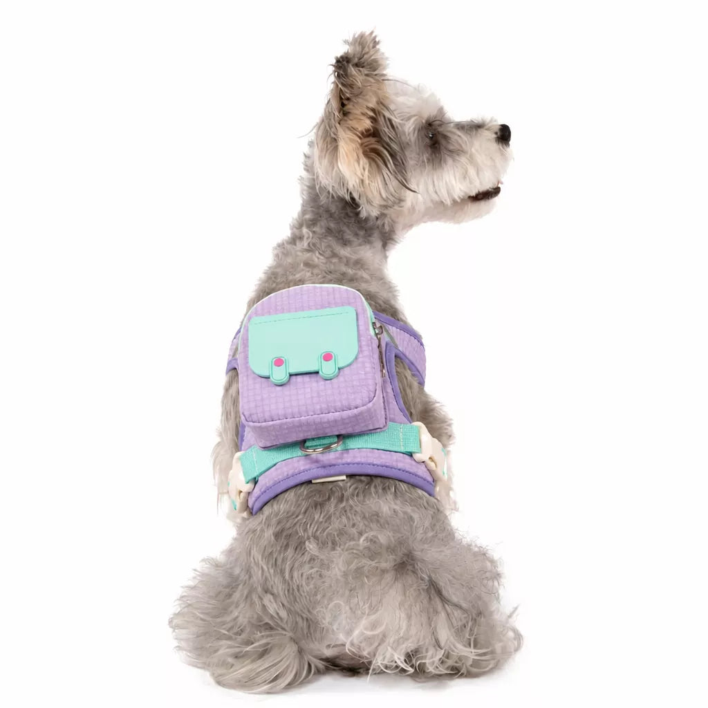Vest-Style Pet Harness and Leash Set for Dogs & Cats