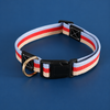 Adjustable Canvas Pet Collar