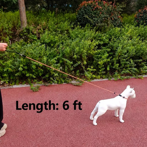 One-Piece Nylon Rope Training Leash for Small and Medium Dogs