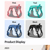 Lightweight Nylon Dog Harness and Leash Set for Everyday Walks