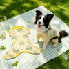 Lightweight Four-Leg Dog Shirt for Warm-Weather Wear