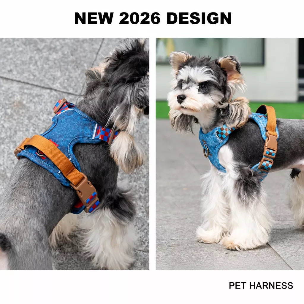 Pet Vest Harness for Small to Medium Dogs
