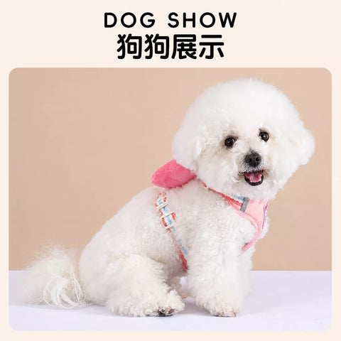 Bow Vest Harness and Leash for Small Dogs