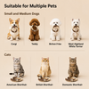 Latex Rope Chew and Tug Toy for Dogs and Cats - p-00008