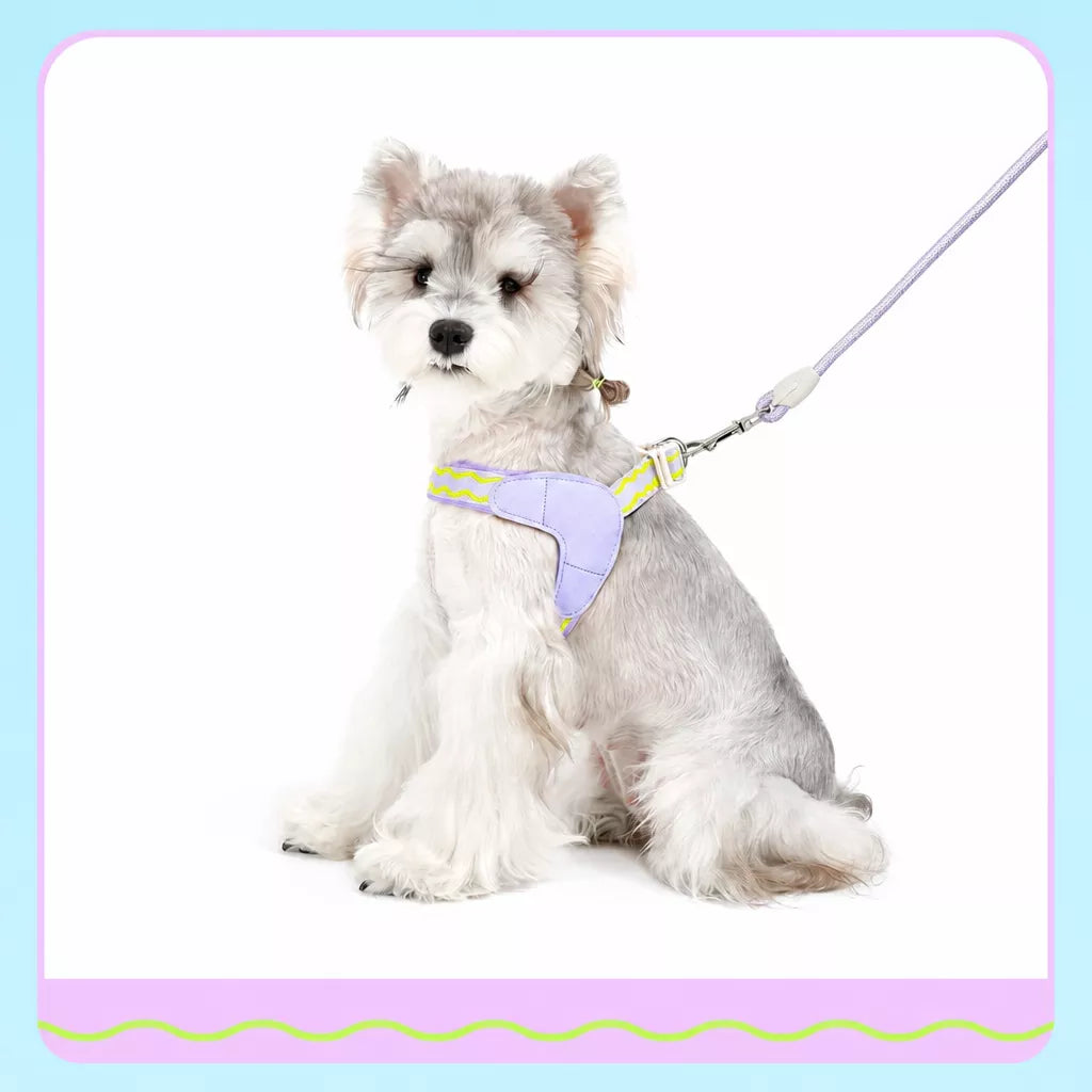 Y-Shaped Nylon Dog Harness and Leash for Small to Medium Dogs