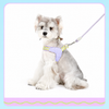 Y-Shaped Nylon Dog Harness and Leash