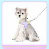 Y-Shaped Nylon Dog Harness and Leash